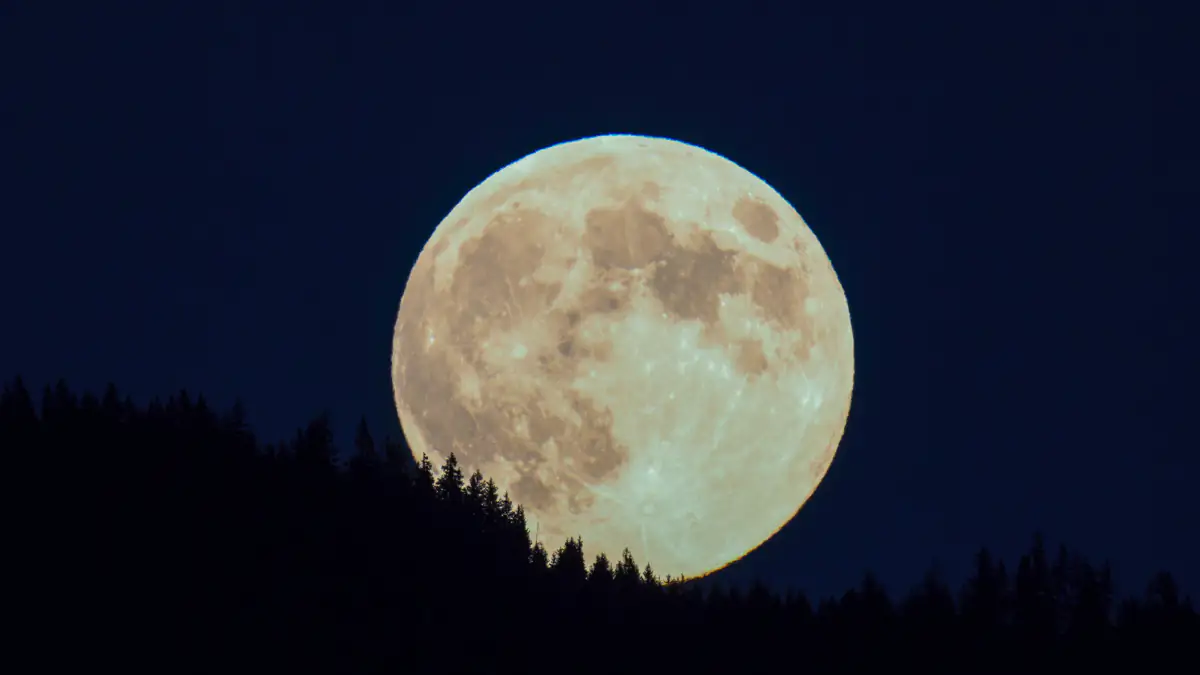 „Bibermond“: Der Supermond im November hat eine besondere Bedeutung