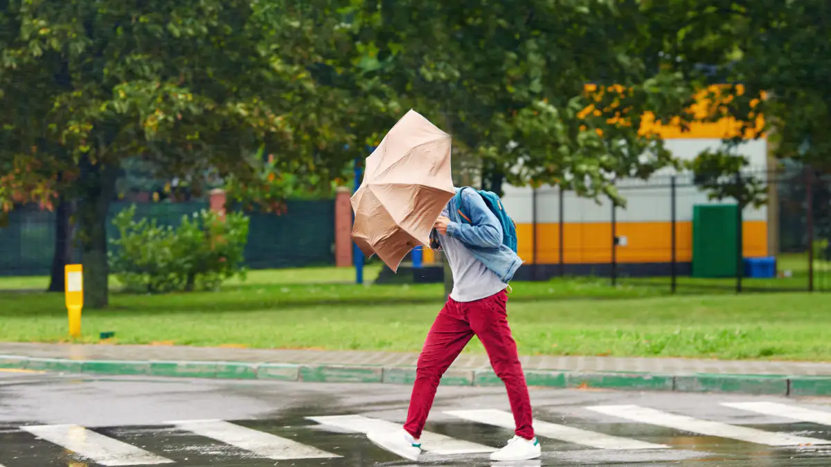 „Bombengenese“: Wetter-Experten warnen vor heftigem Herbststurm