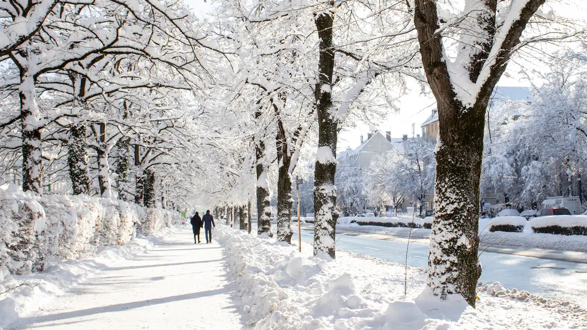 Uralte Bauernregel: Dieser Tag im November soll verraten, wie der Winter wird