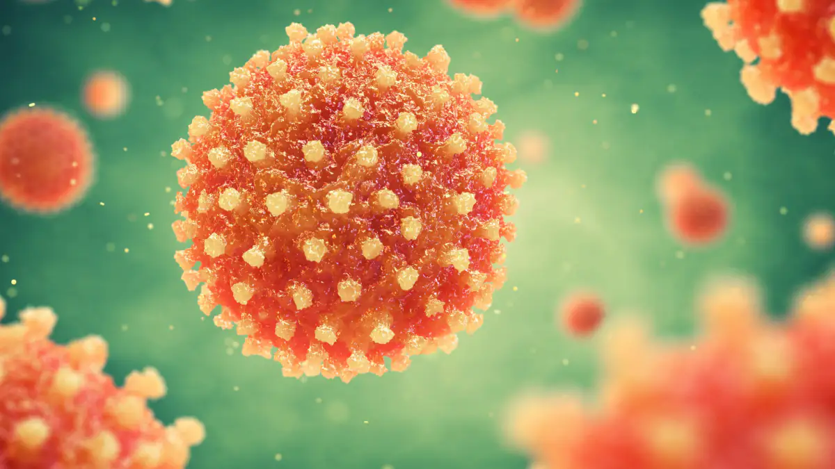 Hepatitis-Ausbruch im Nachbarland: Behörden schlagen nach 28 Todesfällen Alarm