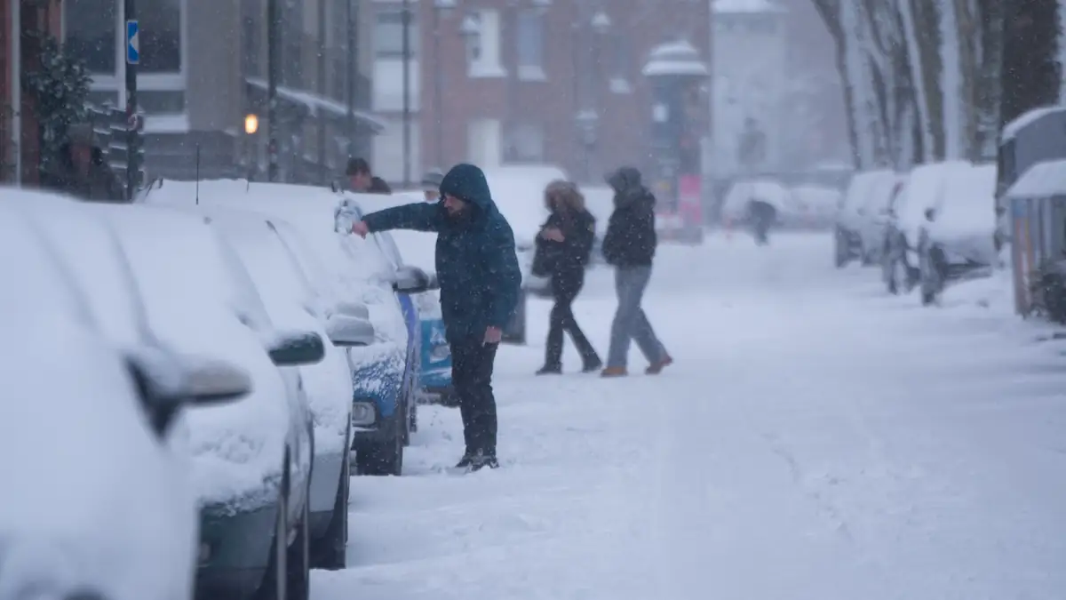 Uralte Bauernregel: Was Schnee im Januar für den Sommer bedeutet