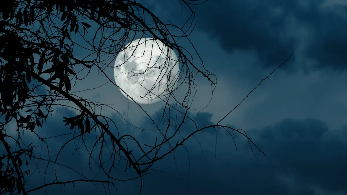 Blauer Mikromond am Nachthimmel: Seltenes Phänomen im Mai erwartet